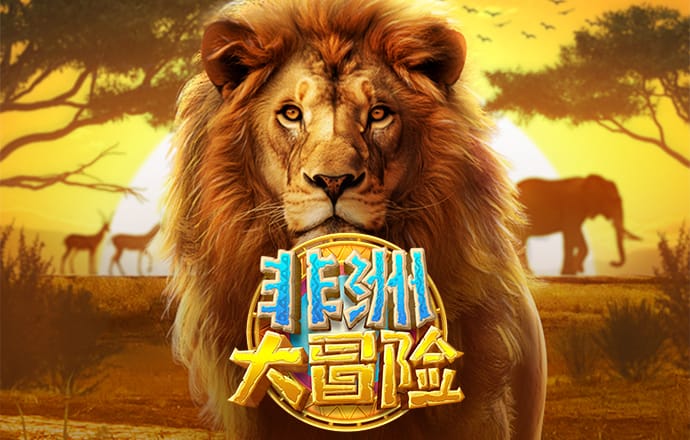 头头体育app官网