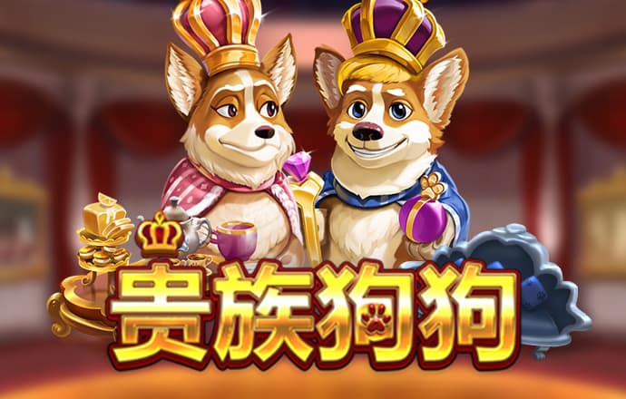 博尊体育网址是什么